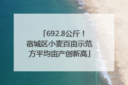 692.8公斤！宿城区小麦百亩示范方平均亩产创新高