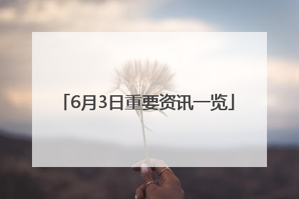 6月3日重要资讯一览