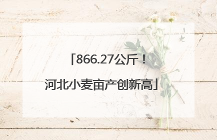 866.27公斤！河北小麦亩产创新高