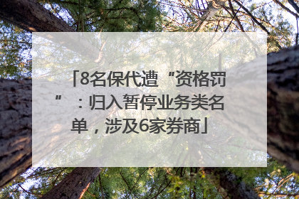 8名保代遭“资格罚”：归入暂停业务类名单，涉及6家券商