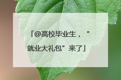 @高校毕业生，“就业大礼包”来了