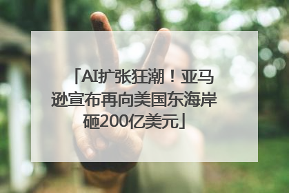AI扩张狂潮！亚马逊宣布再向美国东海岸砸200亿美元