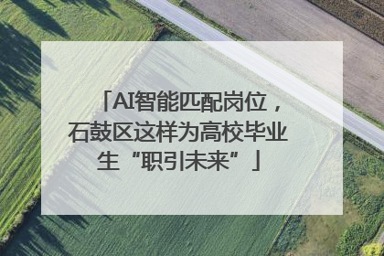AI智能匹配岗位，石鼓区这样为高校毕业生“职引未来”