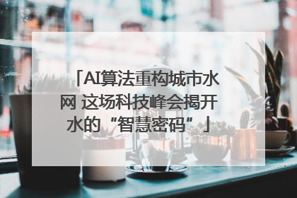 AI算法重构城市水网 这场科技峰会揭开水的“智慧密码”