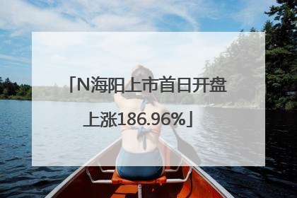 N海阳上市首日开盘上涨186.96%